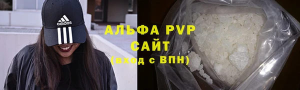гашик Надым