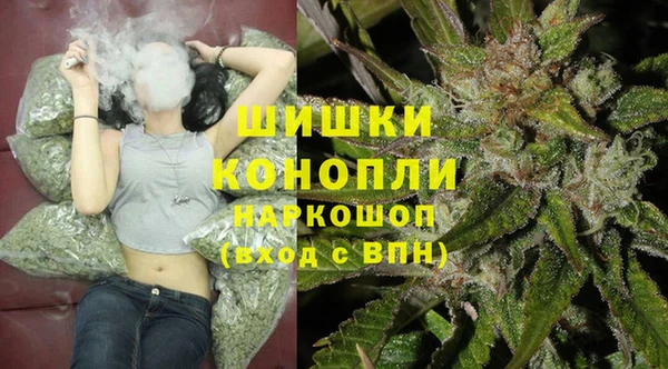 стаф Нефтекумск