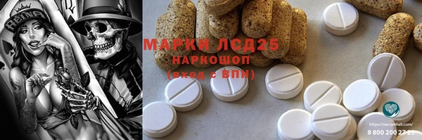 гашик Надым