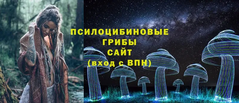 продажа наркотиков  Челябинск  hydra онион  Галлюциногенные грибы Cubensis 