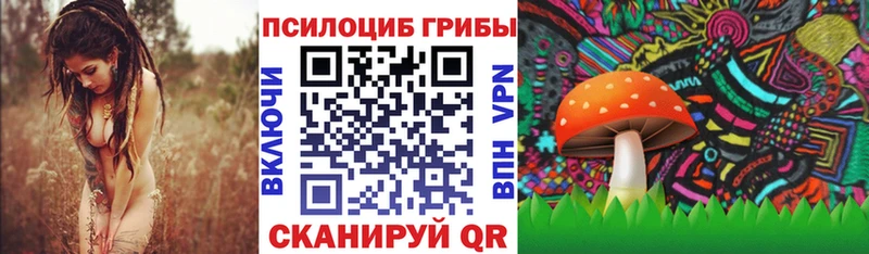 Галлюциногенные грибы ЛСД  наркота  mega маркетплейс  Челябинск 