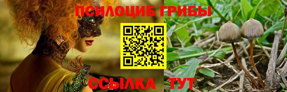 Галлюциногенные грибы мухоморы Челябинск